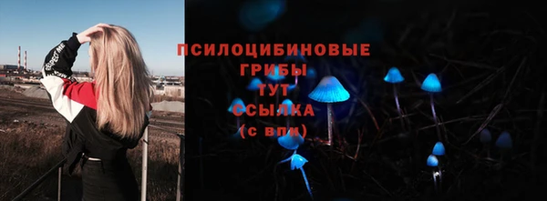 стаф Лиски