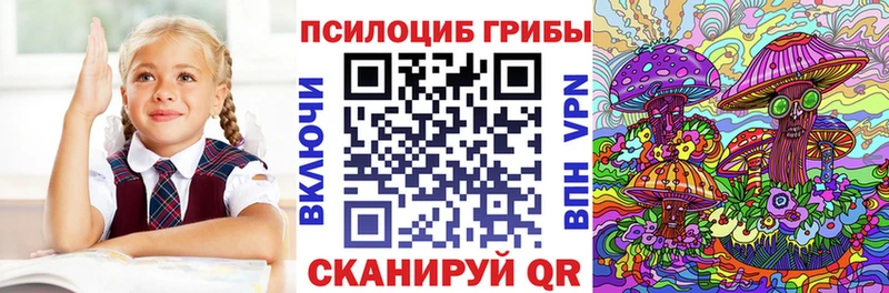 Галлюциногенные грибы Psilocybe  Купить  Мосальск 