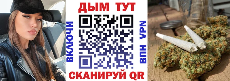 Бошки Шишки OG Kush Купить где Мосальск